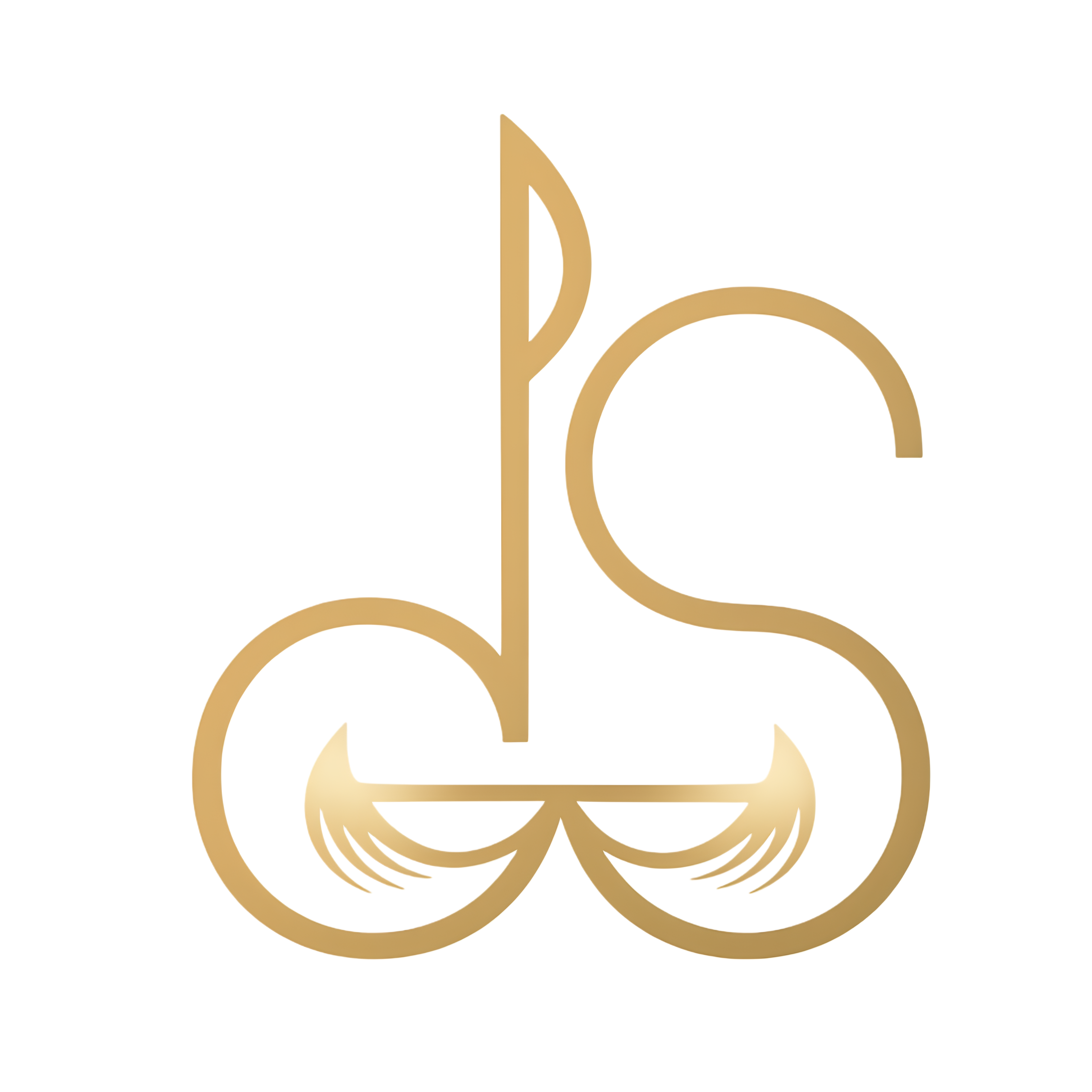 DiPAM Solutions Logo